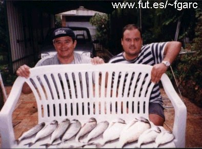 foto3 F�lix y Miguel - Doradas